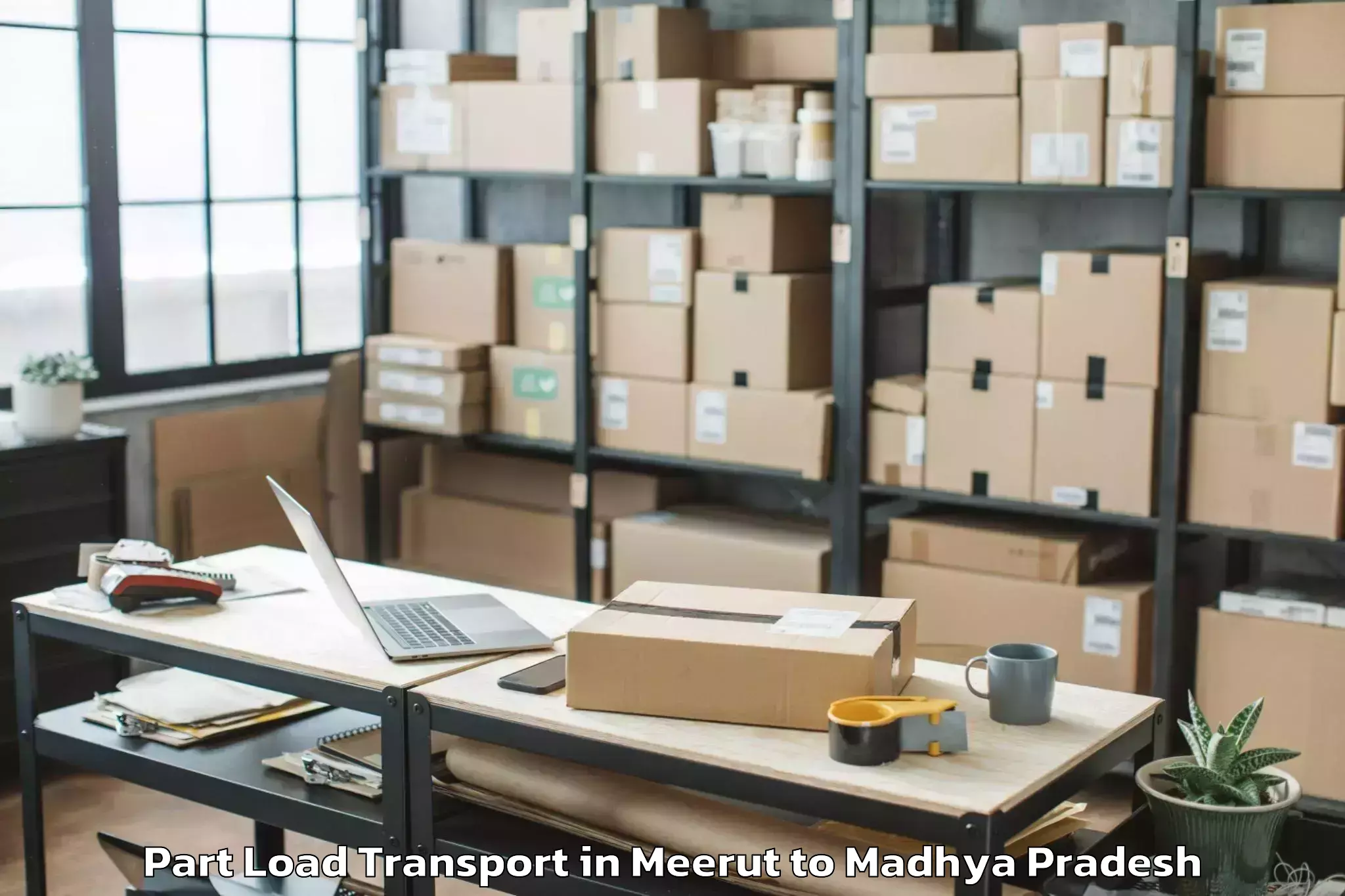 Reliable Meerut to Mauganj Part Load Transport